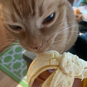 Meet your Posher, Candice